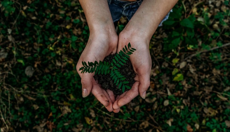 Eco Veritas Environmental Compliance & Corporate Sustainability